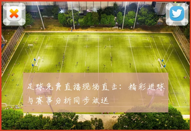足球免费直播现场直击：精彩进球与赛事分析同步放送