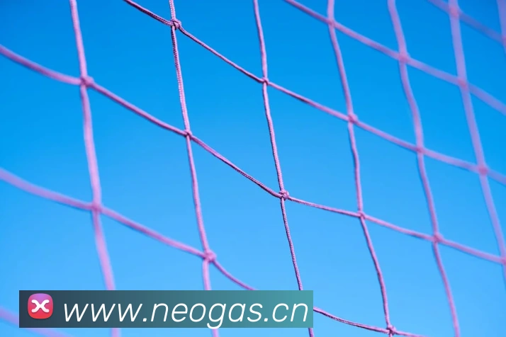 App Interface Preview